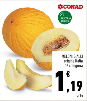Conad MELONI GIALLI offerta