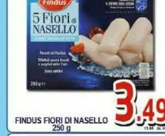Sacoph Findus Nasello offerta