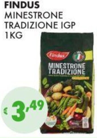 Eté FINDUS MINESTRONE TRADIZIONE IGP 1KG offerta
