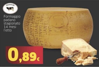 Mercati Alimentari Formaggio padano stagionato 14 mesi offerta
