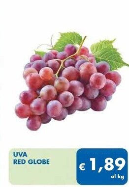 MD Discount Uva red globe offerta