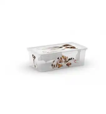 Contenitore c-box xs puppy