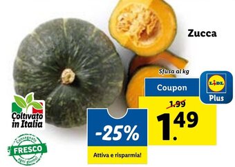Lidl Zucca offerta