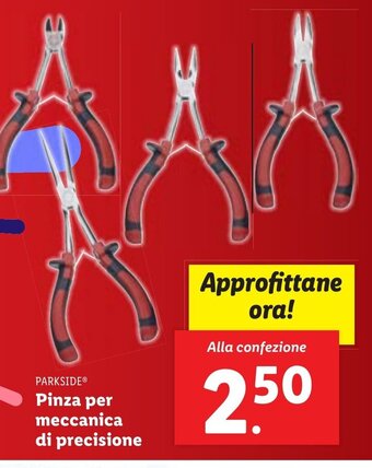 Lidl PARKSIDE Pinza per meccanica di precisione offerta