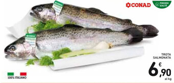 Spazio Conad TROTA SALMONATA offerta