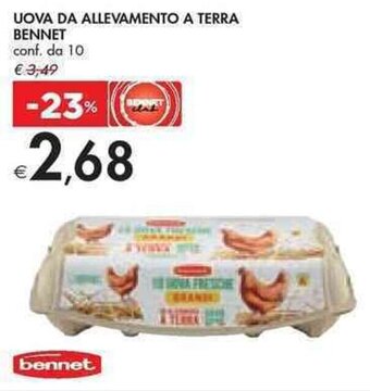 Bennet UOVA DA ALLEVAMENTO A TERRA BENNET offerta