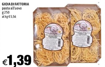 GIOIA DI FATTORIA pasta all'uovo g 250