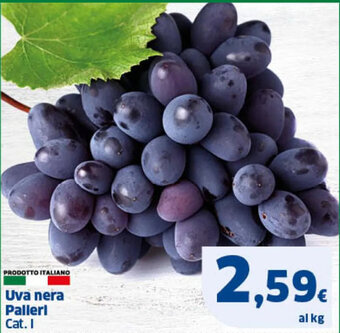Sigma Uva nera Pallerl offerta