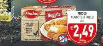 Supermercati Agorà Findus Nuggets Di Pollo offerta