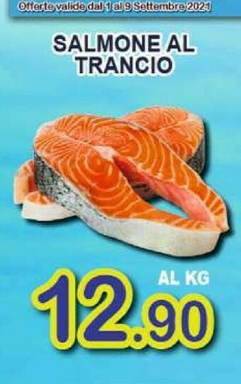 Sacoph Salmone offerta