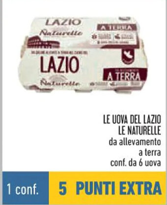 Conad LE UOVA DEL LAZIO LE NATURELLE da allevamento a terra conf. da 6 uova offerta