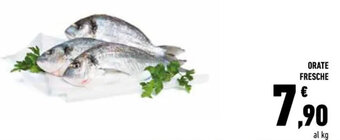 Conad ORATE FRESCHE offerta