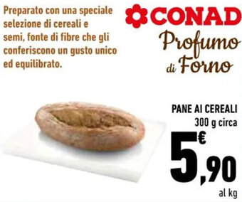 Conad PANE AI CEREALI 300 g circa offerta