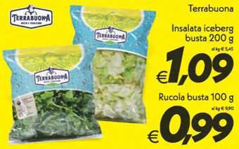 Terrabuona Insalata iceberg busta 200 g