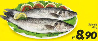 Iper Super Conveniente Spigole offerta