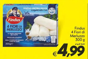 Iper Super Conveniente Findus 4 Fiori di Merluzzo 300 g offerta