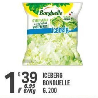Supermercati Dok ICEBERG BONDUELLE g.200 offerta