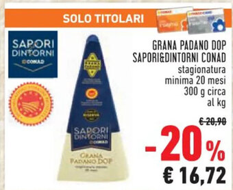Conad GRANA PADANO DOP SAPORI&DINTORNI CONAD 300 g circa offerta