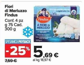 Carrefour Market Fiori di Merluzzo Findus 300 offerta