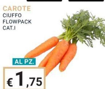 Eté CAROTE CIUFFO FLOWPACK offerta