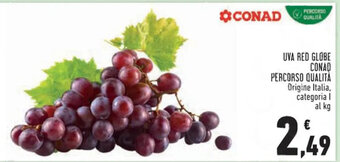 Conad UVA RED GLOBE CONAD PERCORSO QUALITÀ offerta