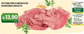 Gala Supermercati FETTINE PER CARPACCIO DI BOVINO ADULTO offerta