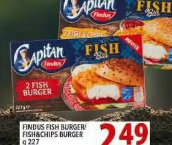 Gros Findus Fish Burger Capitan 227 G(ml) offerta