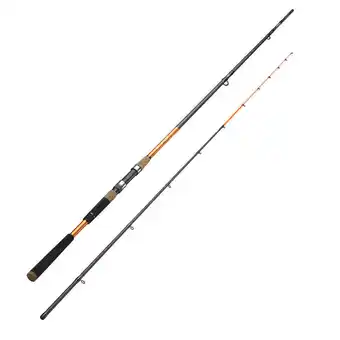 Decathlon Canna innesti pesca mare seacoast light 500 300 hybrid offerta