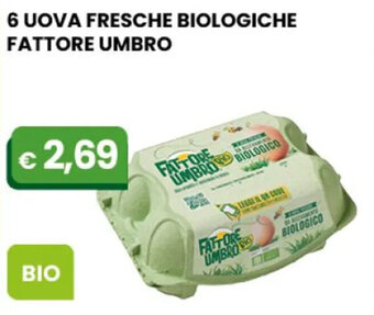 Gala Supermercati 6 UOVA FRESCHE BIOLOGICHE FATTORE UMBRO offerta