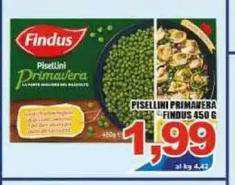 Gros Findus Pisellini Primavera 450 G(ml) offerta