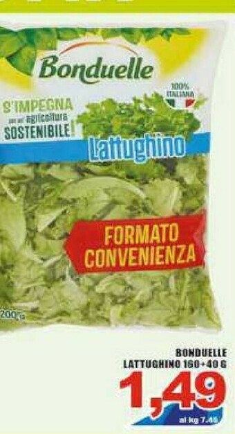 Bonduelle Lattughino