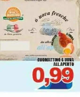 Gros Sacoph Ovomattino 6 Uova offerta
