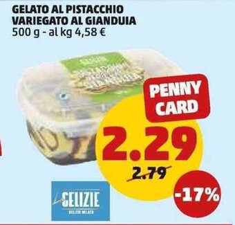 PENNY GELATO AL PISTACCHIO VARIEGATO AL GIANDUIA 500 g offerta