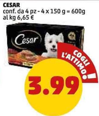PENNY CESAR 600 g offerta