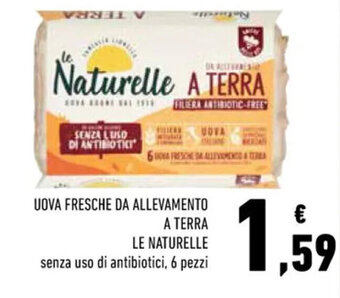 Conad UOVA FRESCHE DA ALLEVAMENTO A TERRA LE NATURELLE offerta