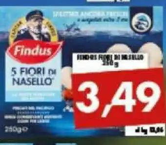 Gros Findus 5 Fiori Di Nasello 250 G(ml) offerta