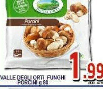 Gros La Valle degli Orti Funghi offerta