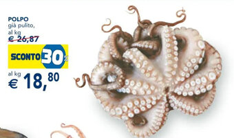 Esselunga POLPO offerta
