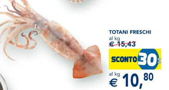 Esselunga TOTANI FRESCHI offerta