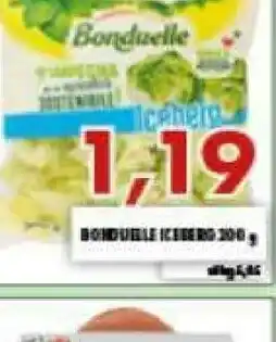 Gros Bonduelle Iceberg offerta