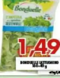 Bonduelle Lattughino