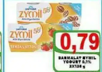 Gros Parmalat Zymil Yogurt offerta