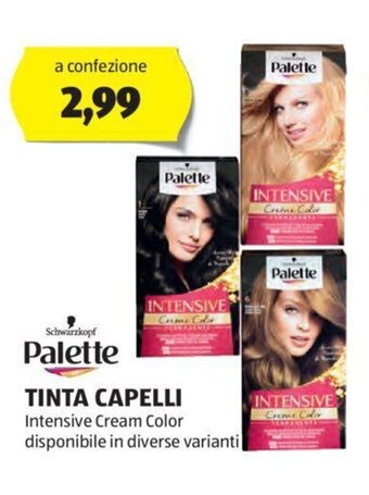 ALDI Palette TINTA CAPELLI offerta