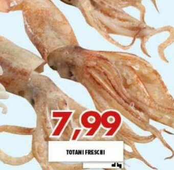 Gros Totani Freschi offerta