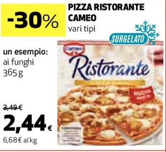 Coop PIZZA RISTORANTE CAMEO 365 g offerta