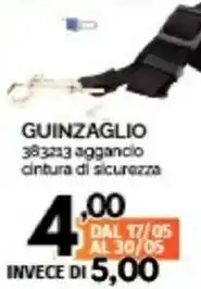 Guinzaglio 383213