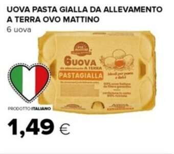 UOVA PASTA GIALLA DA ALLEVAMENTO A TERRA OVO MATTINO 6 uova