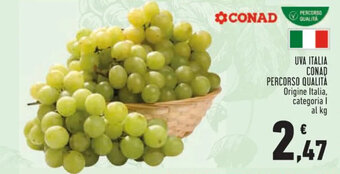Conad UVA ITALIA CONAD PERCORSO QUALITÀ offerta