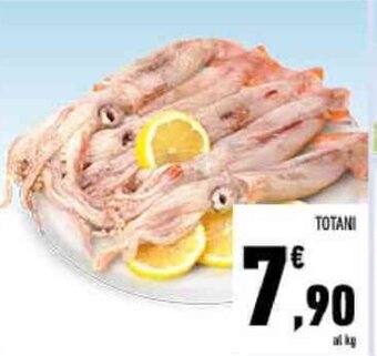 Conad Totani offerta