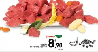 Actiff sgrassatore disinfettante